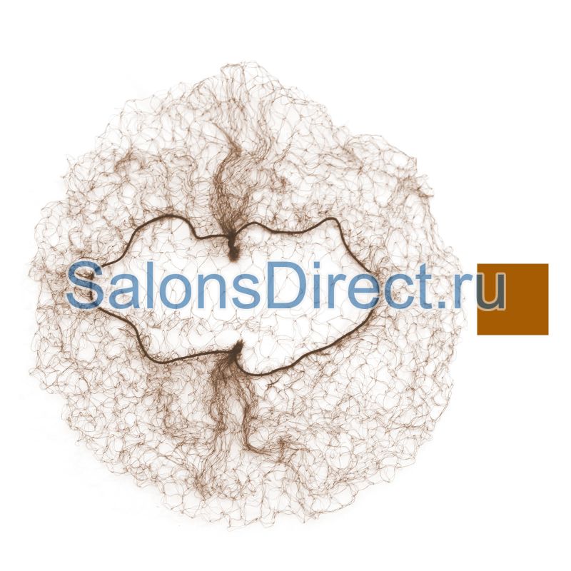    ""   Sibel Hair Nets Light Brown 118023346   SalonsDirect 